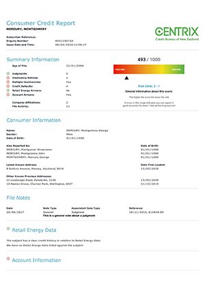 what is personal statement credit report